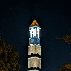 Fundraising Page: Meredith Wood